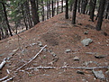 Top of Tailings pile-in lower left corner is a square outline of stone, probably a structe of some sort.looking down from top of tailings