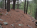 Top of tailings