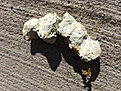 Oxidized green goo crystal.