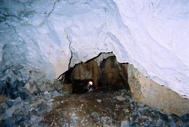 File:Antsprcav3.jpg