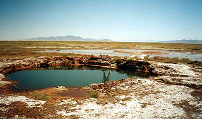 File:Fs2.jpg