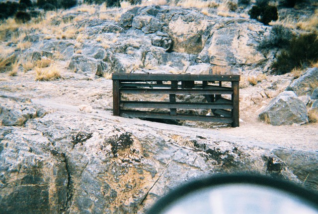 File:Antsprcav1.jpg
