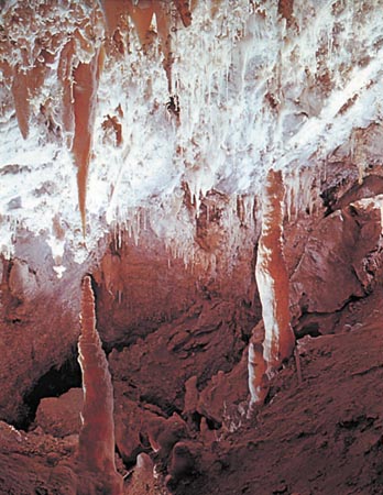 File:Timp2.jpg