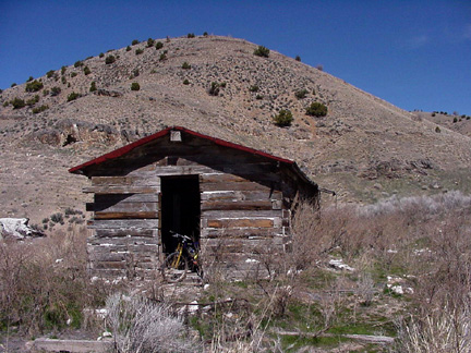 File:Cedars.jpg