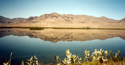 File:Fs1.jpg