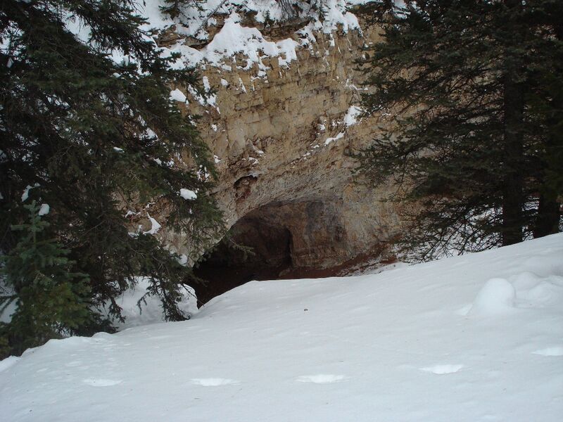 File:Lbbc1.jpg